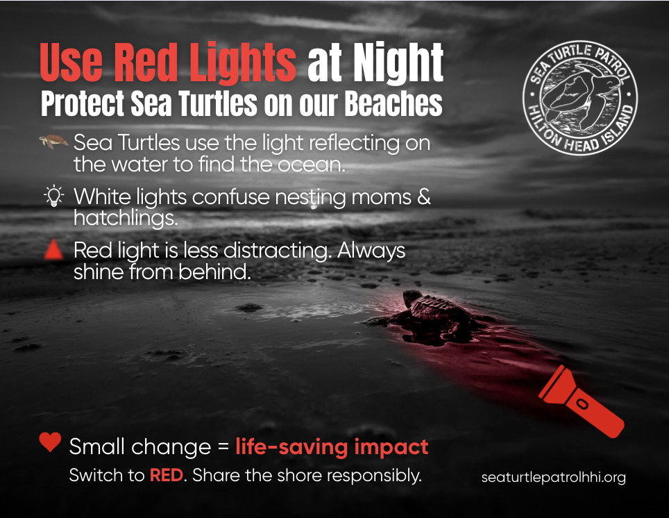 Red Lights at Night Flyer